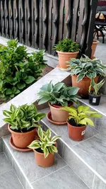 IMG_20180429_181505014.webp