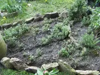 BILD9329.webp