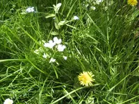 BILD9311.webp