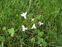 BILD9334.webp