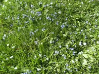 BILD9319.webp
