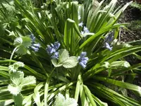 BILD9321.webp
