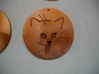 IMGP6088.webp