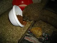 IMGP6094.webp