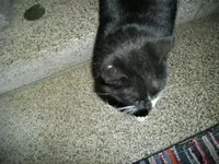 IMGP6095.webp