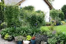 Terasse3616.webp
