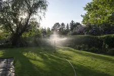 BRILL 820 im Abendlicht.jpg
