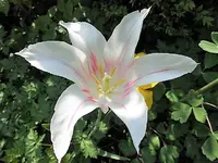 DSCI2853.webp