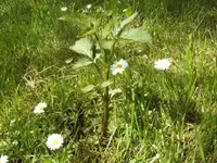 BILD9317.webp