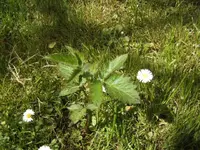 BILD9318.webp