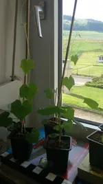 IMG-20180422-WA0003.webp