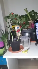 WhatsApp Image 2018-04-29 at 23.13.14.webp
