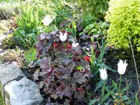 image001.webp