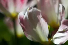 _MG_2749.webp
