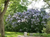 image001.webp