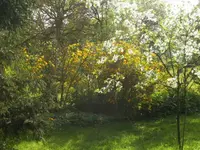 BILD9292.JPG