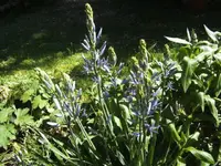 BILD9336.webp