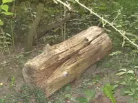 BILD9328.webp
