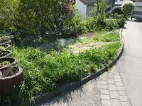 k-P1130154.webp