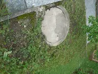 Unkraut 2017-05-04 (6).webp