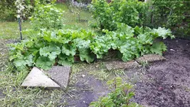 20180501_175310.webp