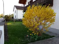 IMG_20180419_183800322.webp