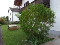 IMG_20180501_155200261.webp