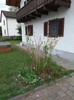 IMG_20180501_172939158.webp