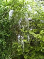 BILD9357.webp