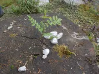 DSCN0023.webp