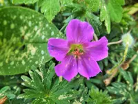 DSCF0986 (2).webp