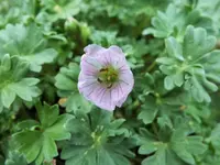 DSCF0985 (2).webp