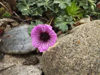 DSCF0983 (2).webp