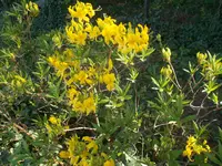 DSCN0020.webp
