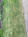 IMG_0256.JPG