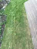 IMG_0257.JPG