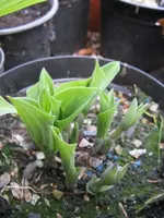 006_576x768.webp