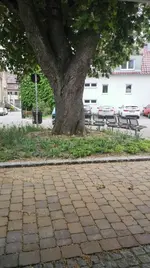IMG-20180502-WA0000.webp