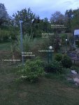 2018-04-29 Wildhecke mit Beschriftung1.jpg