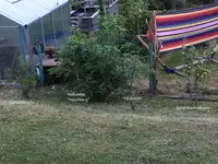 2018-04-29 Wildhecke mit Beschriftung3.jpg