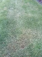 IMG_20180502_202958719.webp