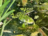 DSCF0962 (2).webp