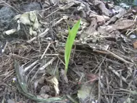 BILD9356.webp