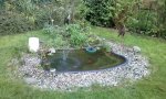 20180501_190016.jpg