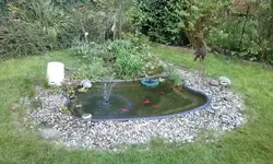 20180501_190016.webp