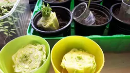 20180503_155631.webp
