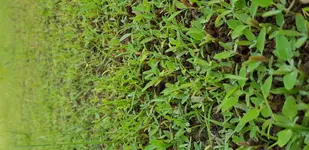 20180503_184839.webp