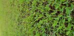 20180503_184839.jpg