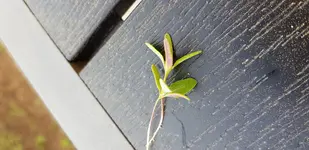 20180503_184850.jpg