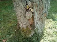 IMG_20180503_154708.jpg